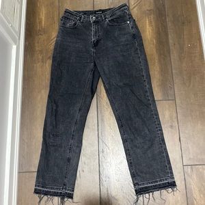 Frank and Oak Straight Jeans (High Rise)